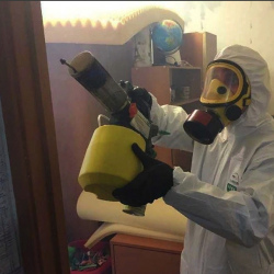 Уничтожение клопов в квартире. Верхотурье